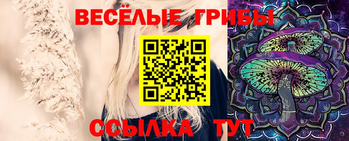 Дивногорск  Псилоцибиновые грибы GOLDEN TEACHER  где можно купить   Вход с VPN  Псилоцибиновые грибы MAGIC MUSHROOMS 